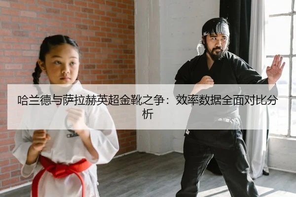 ha-lan-de-yu-sa-la-he-ying-chao-jin-xue-zhi-zheng-xiao-lv-shu-ju-quan-mian-dui-bi-fen-xi-2-767.jpg